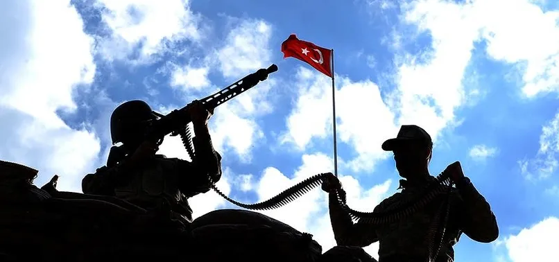 Zeytin Dalı Harekatı'nda bugüne kadar 31 şehidimiz var