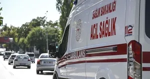 Arazi kavgası! Yaralılar var