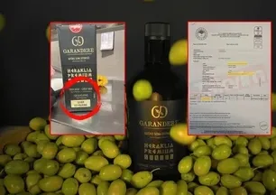 Garandere zeytinyağında "polifenol" oyunu! Coğrafi işaret etiketiyle vatandaşı kandırdılar