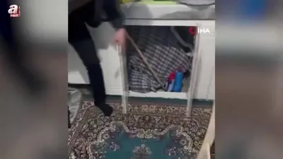 Firari şahıs mutfak dolabından çıktı