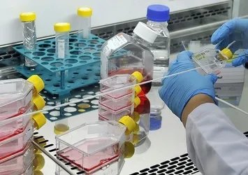 Birçok hastalık tedavi edilebilecek