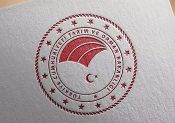 81 ilde ormanda atık toplama etkinliği