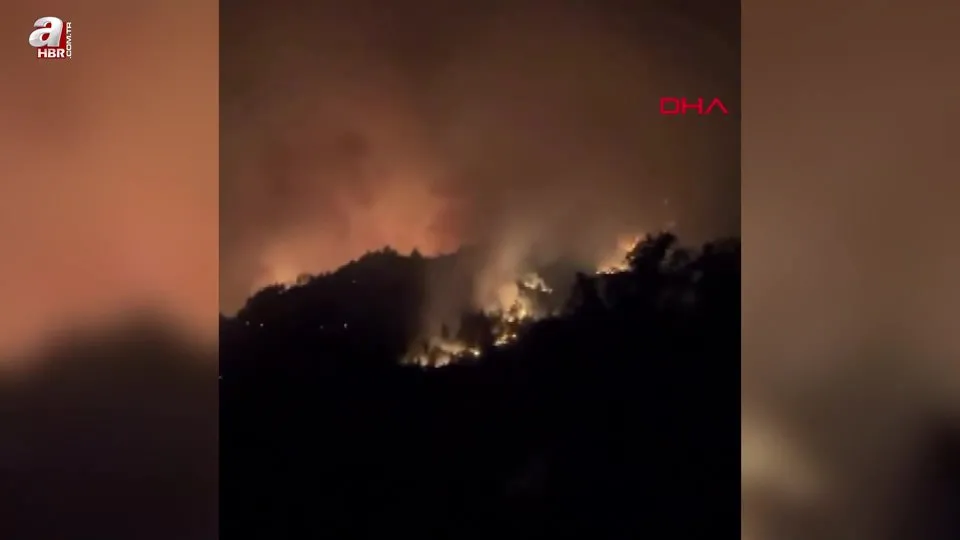 Sakarya’da yürekleri dağlayan ses! Alevlerin arasında kaldılar