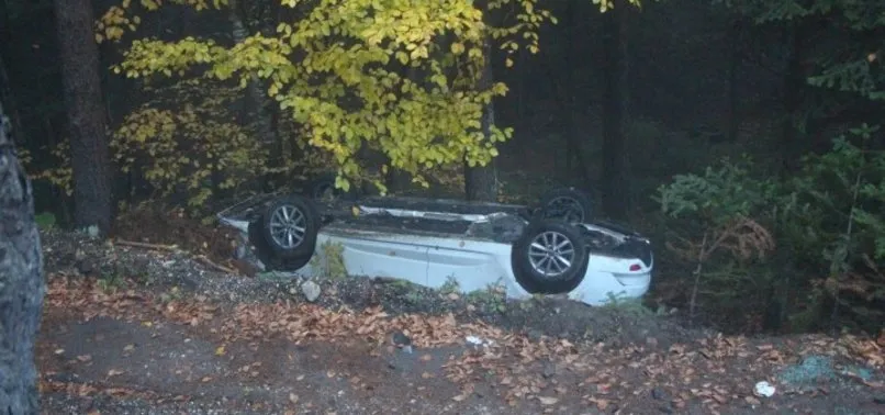 İran asıllı akademisyenin otomobili şarampole devrildi