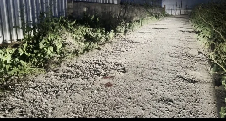 bursada-dehset-saldiri-avukat-hayatini-kaybetti-kardesi-yaralandi-1777412134960.jpg Bursa’da dehşet saldırı! Avukat hayatını kaybetti: Kardeşi yaralandı - 1