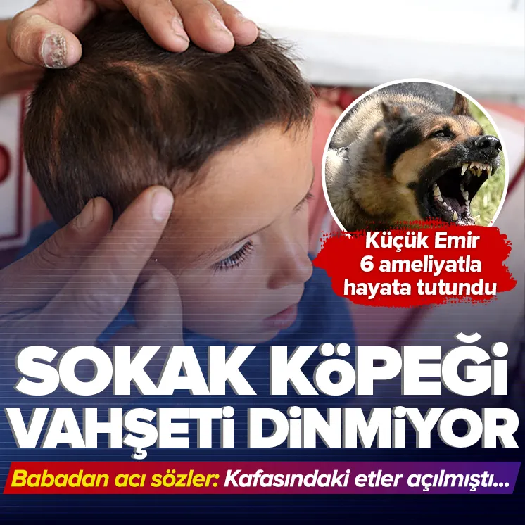 Kafasındaki etler bile açılmıştı...
