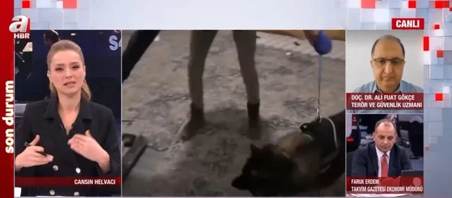 Terörist Türkiye’ye nereden geldi? Saldırının perde arkasında ne var?