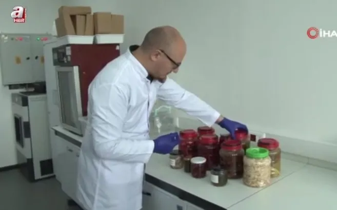 Geleneksel turşular bilime konu oldu