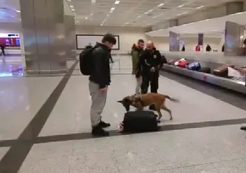 Türkiye'den Hollanda'ya misilleme