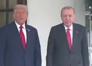 Erdoğan-Trump görüşmesinin detayları