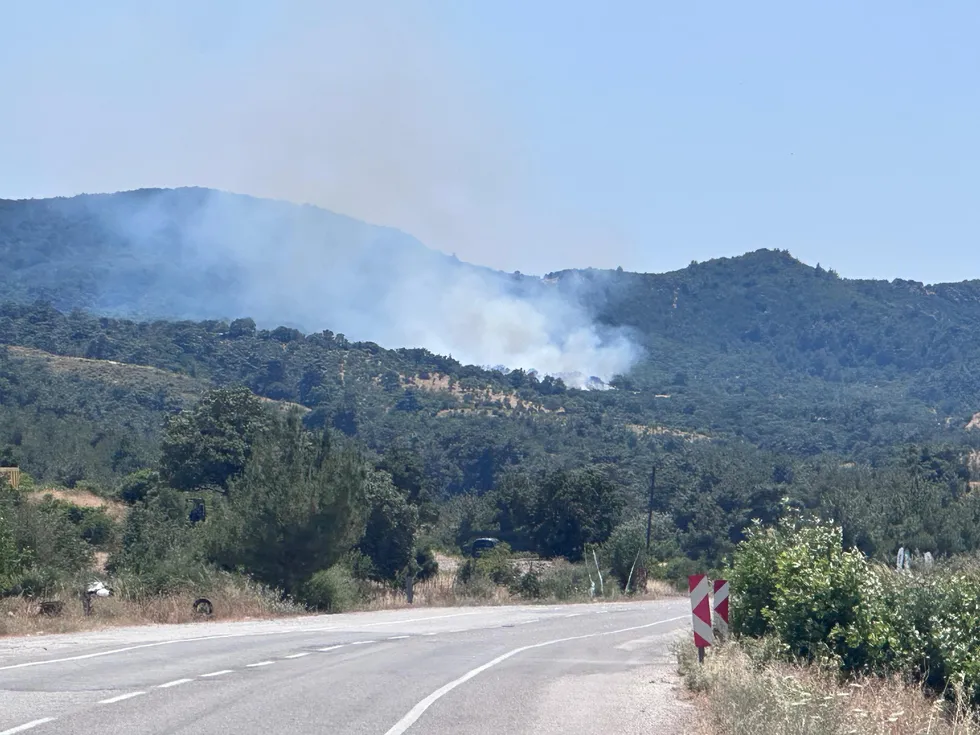 Çanakkale'deki orman yangını söndürüldü: Soğutma çalışmaları sürüyor - 3