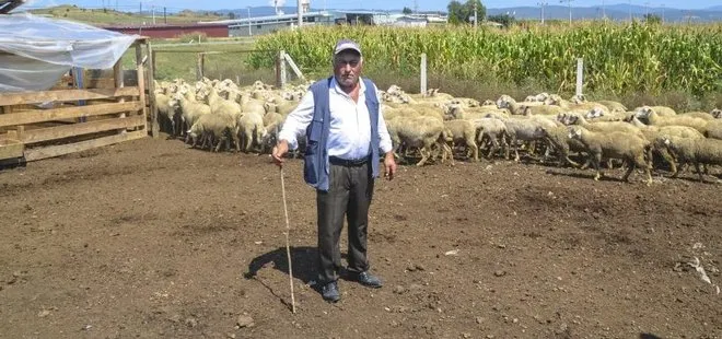 Kastamonu’da hayvancılık yapan vatandaş: 11 bin liraya işçi bulamıyoruz