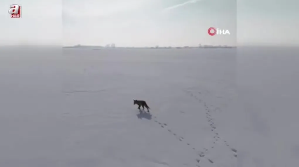 Tilkinin dron ile imtihanı