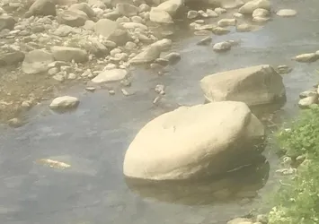 40 santimetrelik suda boğularak hayatını kaybetti! Eli taşa sıkışınca kurtulamadı...