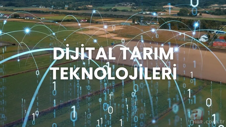 YÖK Başkanı'ndan flaş duyuru! 2025 YKS’de bu bölümler ilk kez tercih listesinde olacak 13