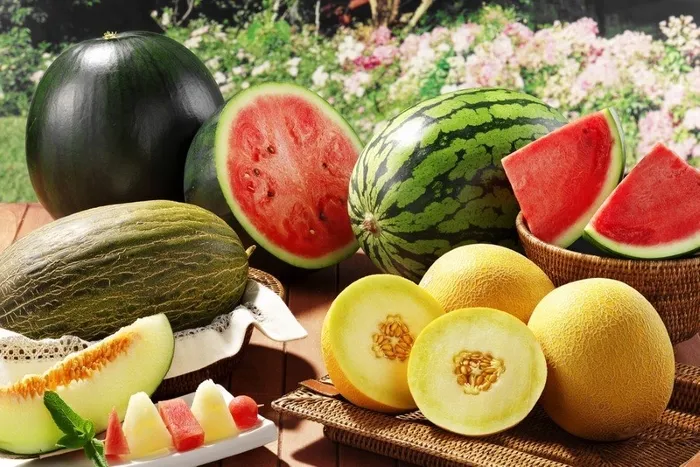 lezzetlisini-secmek-bu-kadar-kolaymis-karpuz-ve-kavun-secmenin-puf-noktasi-1714131644425.jpg Lezzetlisini seçmek bu kadar kolaymış! Karpuz ve kavun seçmenin püf noktası... - 4
