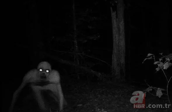 Kan donduran görüntü! 51.bölge neden bu kadar gizemli? 3