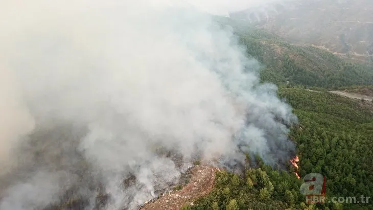 Hatay Samandağı’nda korkutan orman yangını | A Haber muhabiri son durumu aktardı