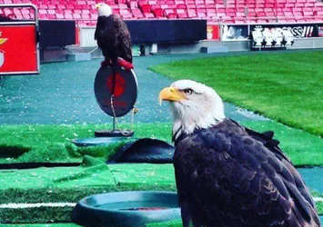 Benfica'dan Beşiktaş'a büyük jest