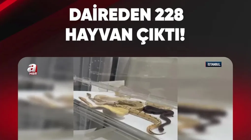 DAİREDEN 228 HAYVAN ÇIKTI!