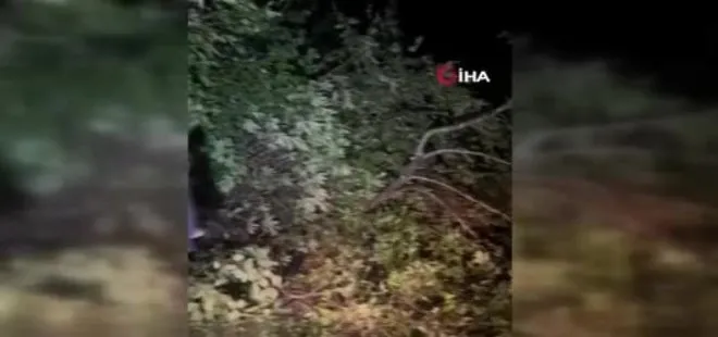 Rize'de şiddetli yağışlar sel ve heyelanlara neden oldu