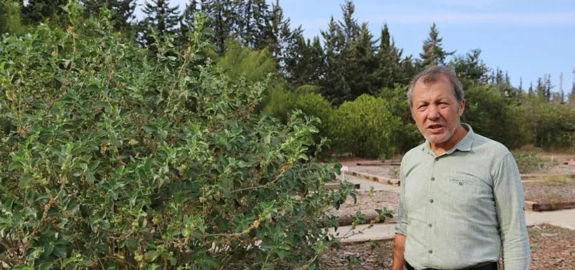 Adana'da botanik bahçede sergilenen zehirli bitkiler büyük ilgi gördü