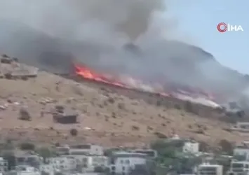 Bodrum Türkbükü’nde makilik yangını