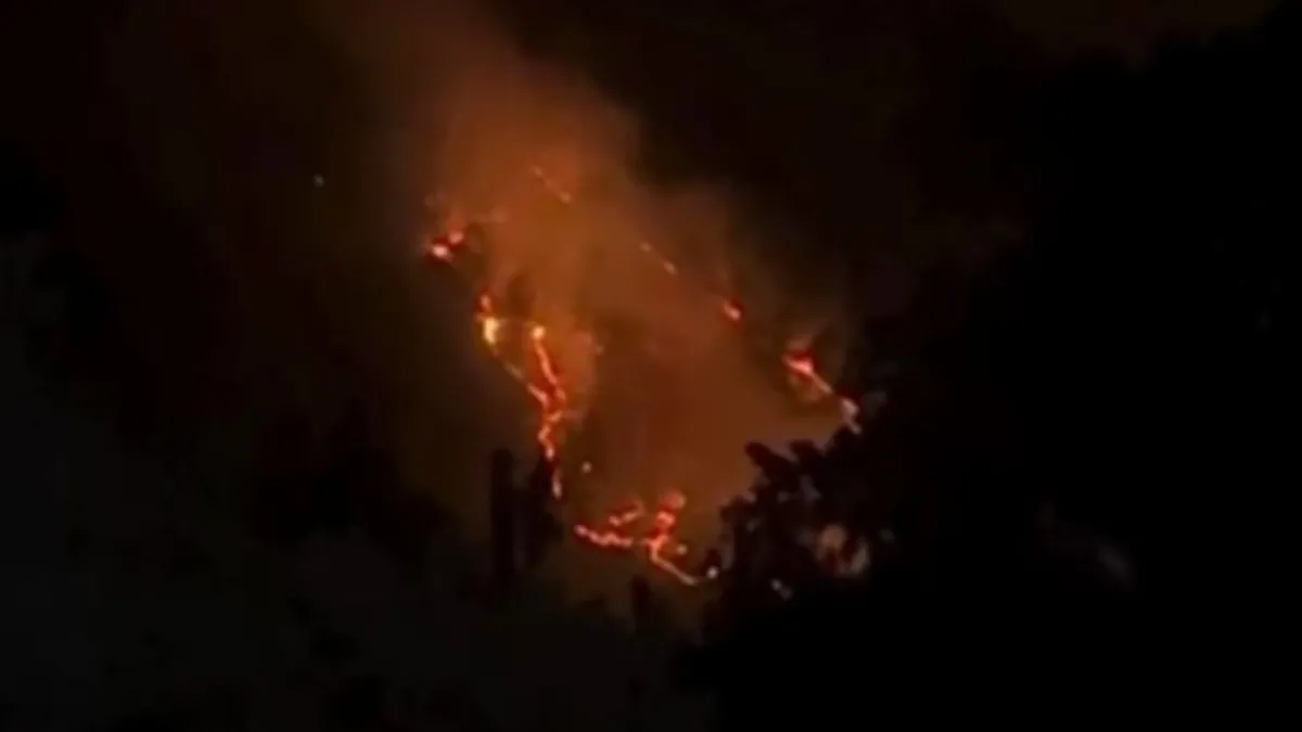 Bursa’da orman yangını! Kontrol altına alındı