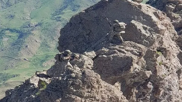 Son dakika: Irak’ın kuzeyinde teröristlerin yuvalandığı alanlara harekat başladı