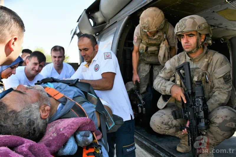 Siirt'te korkunç olay! Hayvanları otlatan çobana yaban domuzları saldırdı 5