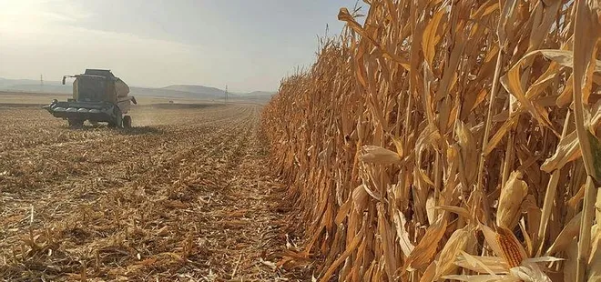 Hazine ve Maliye Bakanı Berat Albayrak duyurmuştu! İthal üründe yeni dönem...