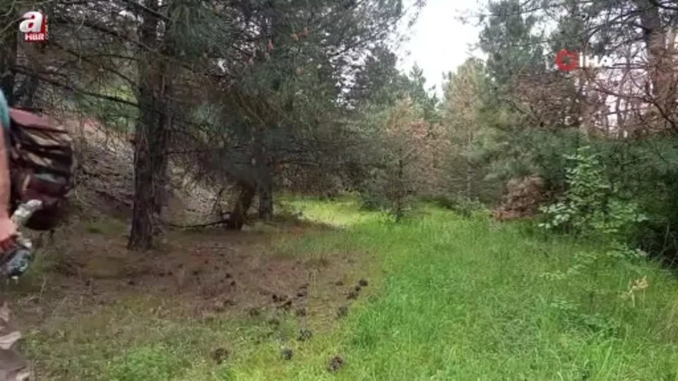 Yaban hayatını kayıt altına alıyor