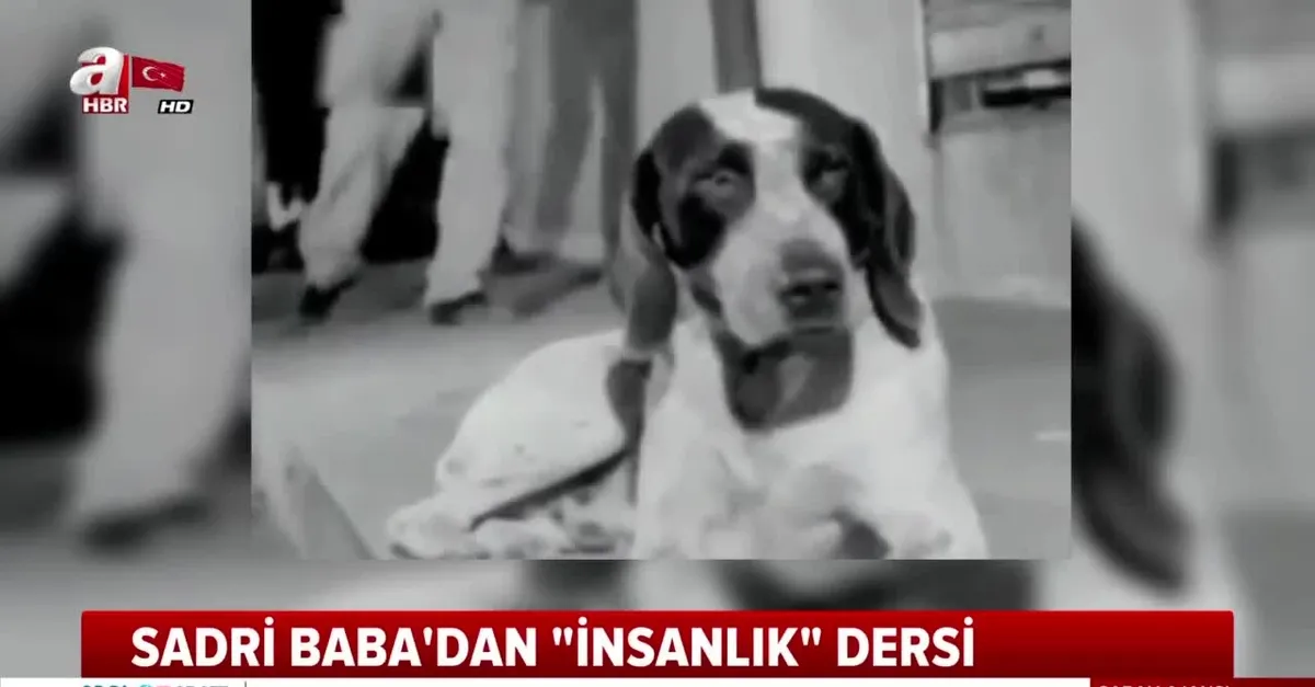 Sadri Alışık'tan 'insanlık' dersi