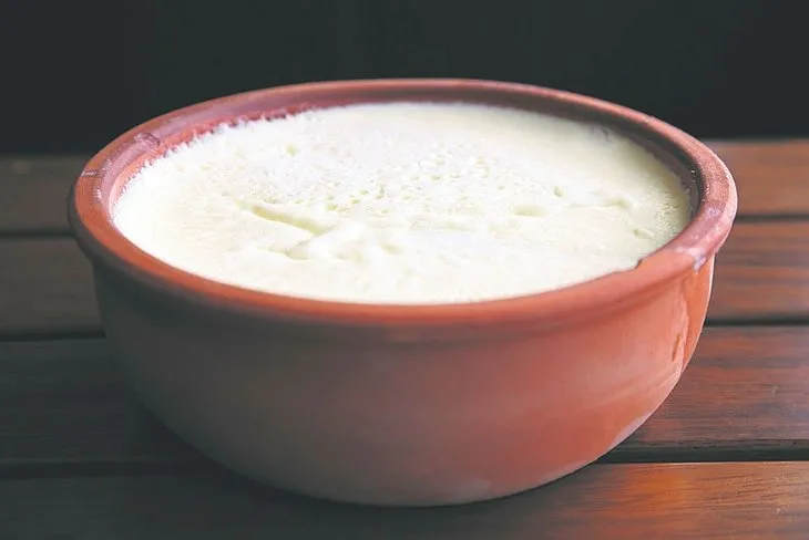 Lezzetli manda yoğurdu nasıl yapılır? | Doğal ortamında manda yoğurdu