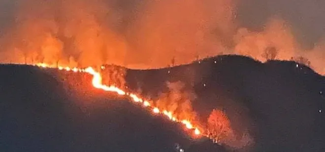 Trabzon’da orman yangını! Ekipler bölgeye sevk edildi