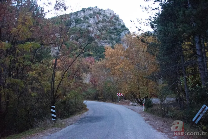 Sonbaharın renkleri Spil Dağı'nda! Orman manzarası mest etti 5