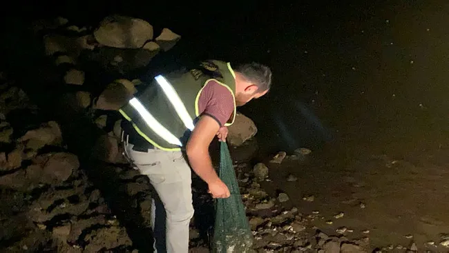 Şırnak’ta kaçak olarak kurbağa avlayanlara 737 bin lira ceza! - 4