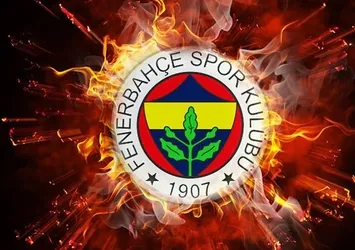 Fenerbahçe'de sakatlık şoku!