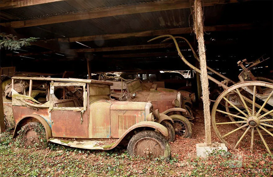 Corvette marka arabalar çürümeye terkedilmiş halde bulundu 🚗 22