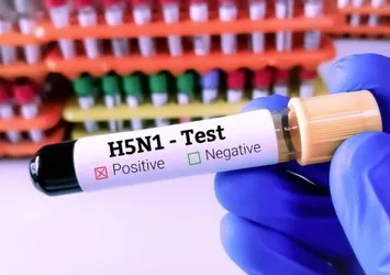 Meksika'da ilk kez bir insanda H5N1 virüsü