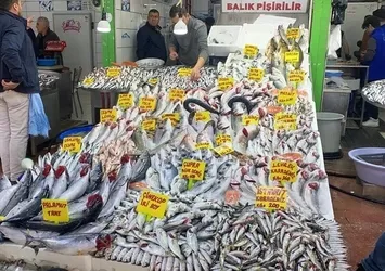 Havalar soğuyunca balığa talep arttı