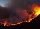 Meksika alev alev yanıyor