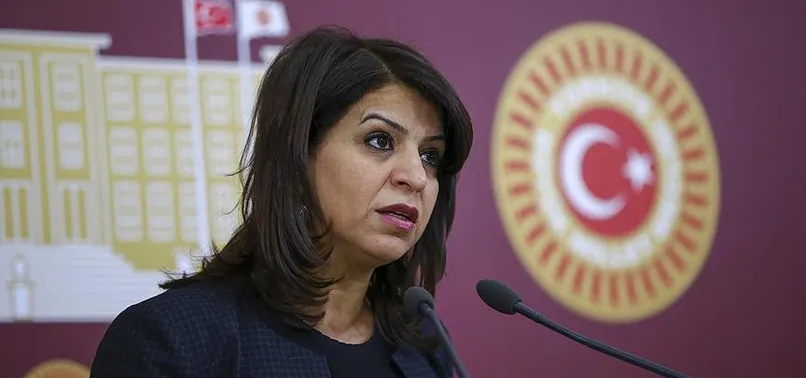 HDP'li vekil Sibel Yiğitalp hakkında 'terör' fezlekesi