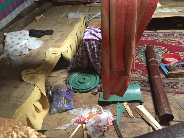 Artvin’de aç kalan ayılar, yayla evlerine dadandı - 1