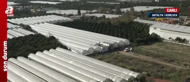 Türkiye Yüzyılı’nda tarım, ormancılık ve hayvancılık! A Haber ekipleri sahada