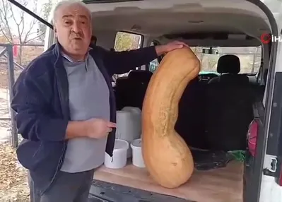 Görenler hayrete düştü