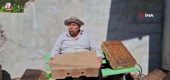 Bu da Adana usulü "sinekle mücadele"