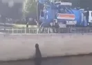 İBB aracından dereye atık su