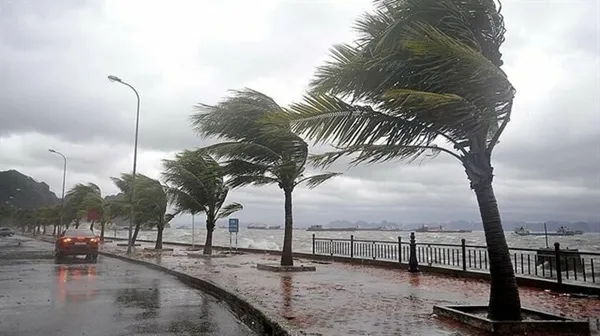 meteorolojiden-flas-uyari-6-il-icin-kuvvetli-firtina-uyarisi-yapildi-bu-hafta-hava-nasil-olacak-1611949543403.jpg Meteorolojiden flaş uyarı! 6 il için kuvvetli fırtına uyarısı yapıldı! Bu hafta hava durumu nasıl olacak? - 2