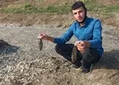 Binlerce balık telef oldu